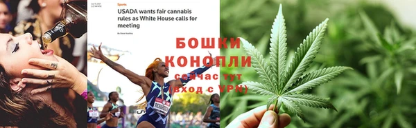 кокс Дмитриев