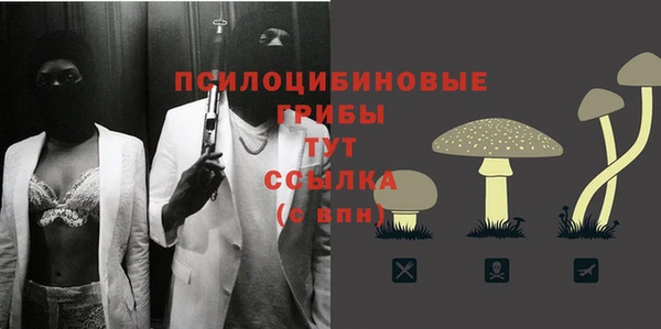 кокс Дмитриев