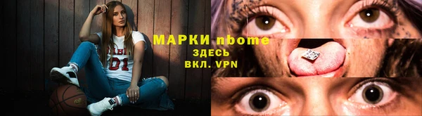 дмт Дмитровск