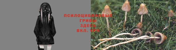 кристаллы Дмитров