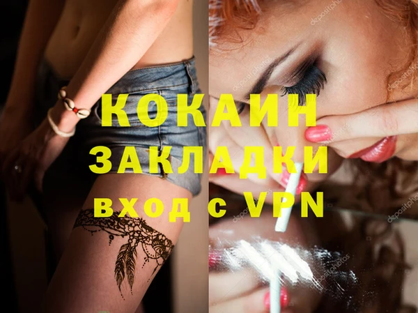 кокс Дмитриев