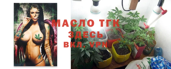 дмт Дмитровск