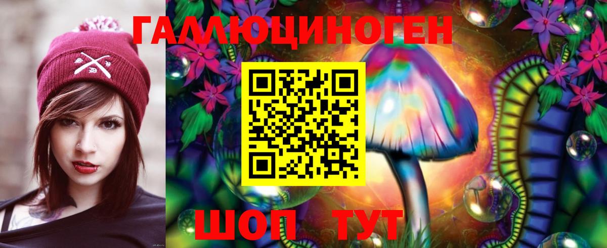 Галлюциногенные грибы GOLDEN TEACHER Новороссийск