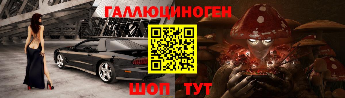закладки  Вход с VPN  Новороссийск  Псилоцибиновые грибы прущие грибы 
