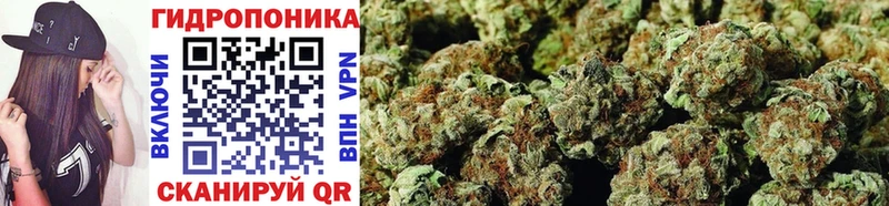 Бошки Шишки THC 21%  Новороссийск 